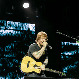 Shows e Festivais